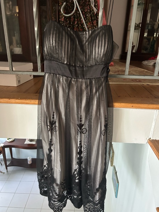 SL Fashions Dresses & Skirts - SL Fashions Black Spaghetti StrapMesh Embroidered Dress